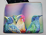 Bird Ｒainbow バード レインボー L型クラッチバッグ 岡山帆布生地vre.
