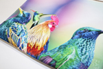 Bird Ｒainbow バード レインボー L型クラッチバッグ 岡山帆布生地vre.