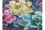 Echeveria Navy Blue エケベリア ネイビーブルー L型クラッチバッグ 岡山デニム生地ver.