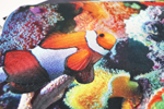Tropical Fish トロピカル フィッシュ L型クラッチバッグ 岡山デニム生地ver.