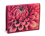 Dahlia Magenta ダリア マゼンダ 小銭ケース
