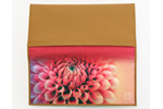 Dahlia Magenta ダリア マゼンダ 長財布